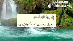 پشتو قران ترجمه سورة القيامة Quran pashto tarjumah surah al qiyamah