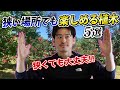 【狭くたって安心】広がりにくい、管理簡単・メリット多めな植木をご紹介します。