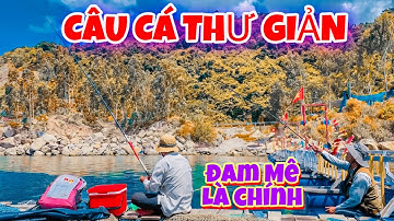 Câu Cá Biển Thư Giản, Chia Sẻ Địa Điểm Câu Cá Ở Bè | Vũng Rô Phú Yên
