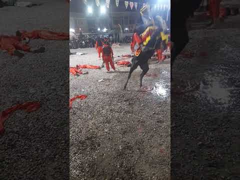 موكب مالك الأشتر اركواوي خانقين مواكب خانقين