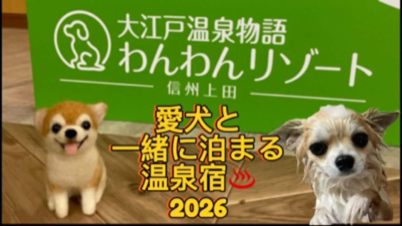愛犬チワワと泊まれる宿