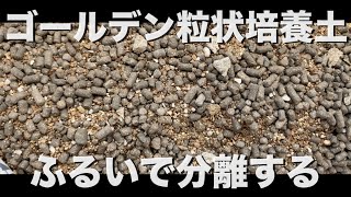 ゴールデン粒状培養土でバーミキュライトを振るいで分離する