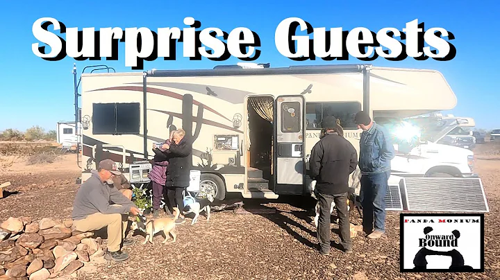 Caravan Carolyn & More Friends Arrive At Plomosa B...