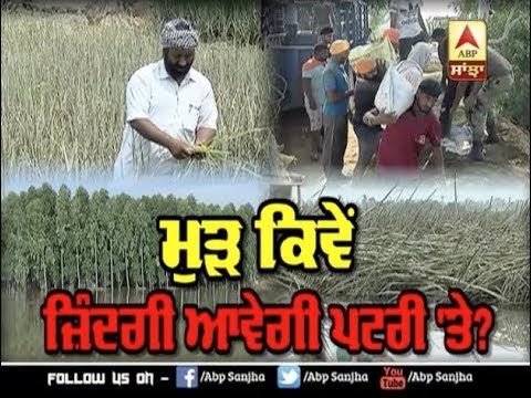 Punjab Floods: ਮੁੜ ਕਿਵੇੰ ਜ਼ਿੰਦਗੀ ਆਵੇਗਾ ਪਟਰੀ `ਤੇ? | ABP SANJHA |