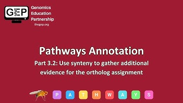 GEP | Pathways Gene Annotation Part 3.2 - Use synteny to gather additional evidence