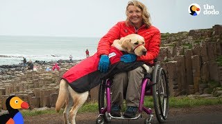 Service Dog Inspires Injured Woman To Live Life To The Fullest | The Dodo