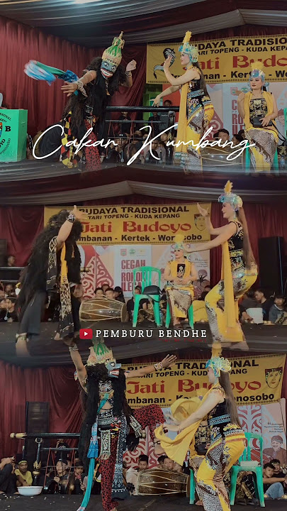 Cakar kumbang kiprahan maer