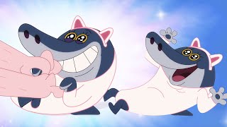 Zig & Sharko  CUTE CAT  Compilation in HD