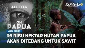All Eyes on Papua Perjuangan Masyarakat Adat Melawan Perkebunan Sawit