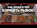 Как и чем правильно кормить аквариумных рыбок