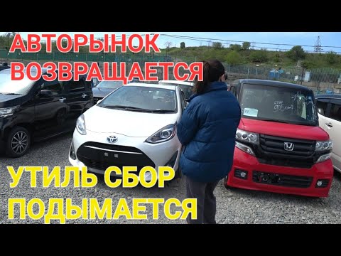 Видео: АВТОРЫНОК ВОЗВРАЩАЕТСЯ, УТИЛЬСБОР ПОДЫМАЕТСЯ, ВЛАДИВОСТОК ЗЕЛЁНЫЙ УГОЛ