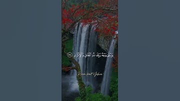 ما تيسر من سورة الرحمن #shortvideos #viralvideos #quran #viralvideo #fyp #explore