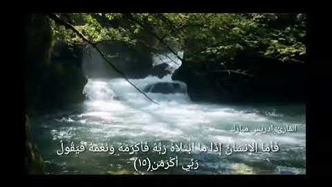 سورة الفجر..ادريس مبارك