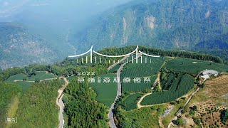 【 2022草嶺石壁森林療癒祭 】一起重新走入森林