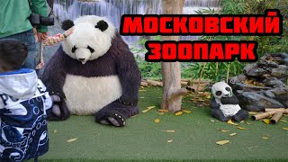 В московском зоопарке , животные