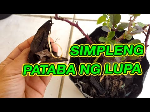 Video: Masama ba ang mga pataba para sa mga sistema ng ilog?