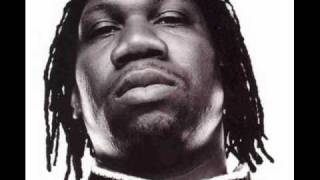 Watch KrsOne Never Afraid video