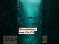 Incredible Facts About the Enduring Shark