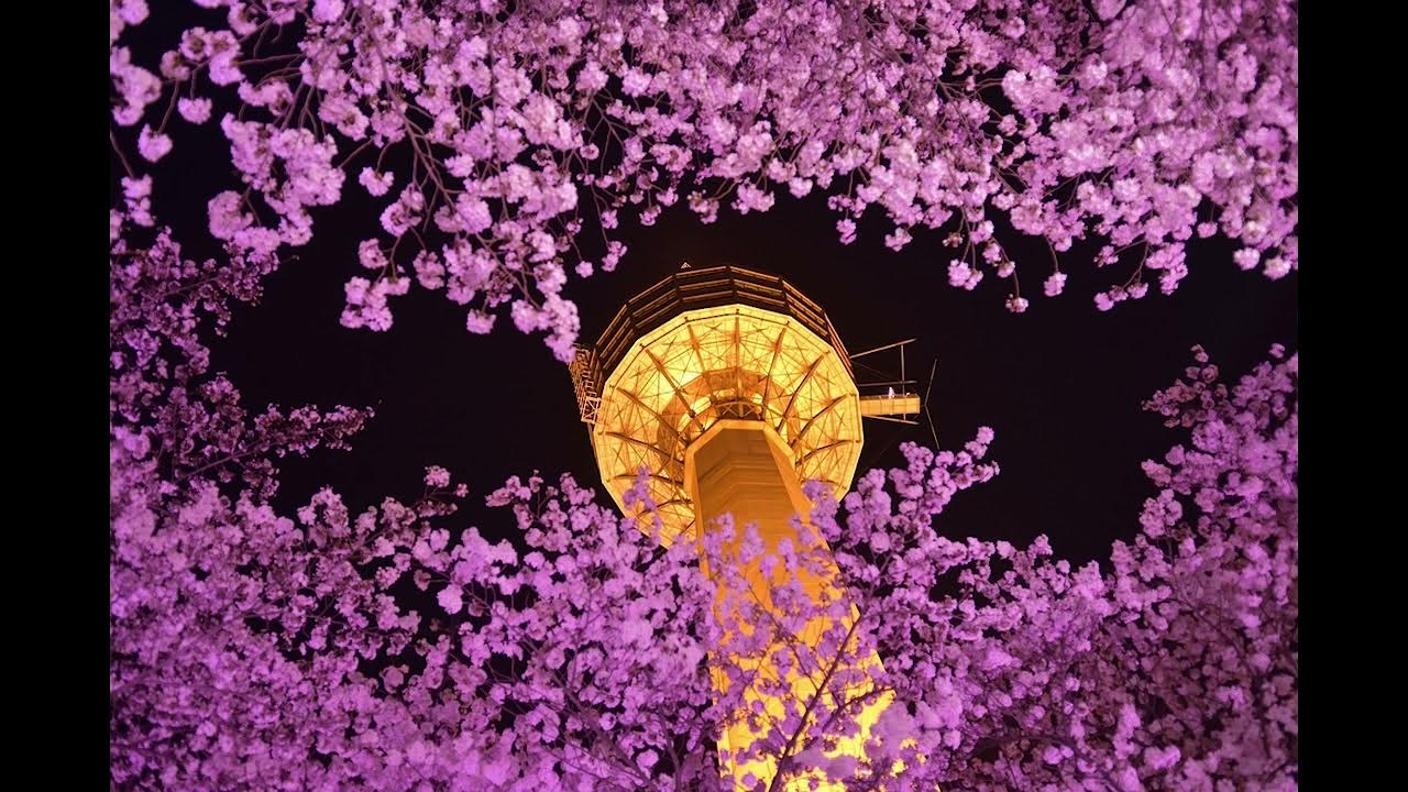 Диван-style" по-русски газета "ИСТОКИ" Дзен