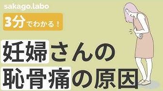 恥骨痛 Youtube