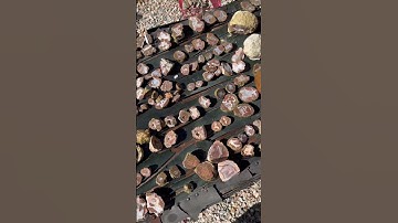 100’s of geodes and thunder eggs #geology #rocks #geode #shorts