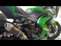 Escape Akrapovic Kawasaki Ninja 250