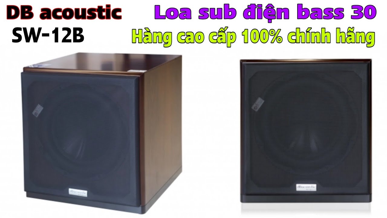 Loa sub điện bass 30 mã SW-12B hàng cao cấp, 100% chính hãng DB acoustic.Âm  thanh rất hay - YouTube