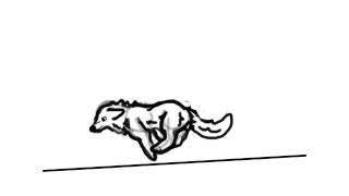 Running wolf animation