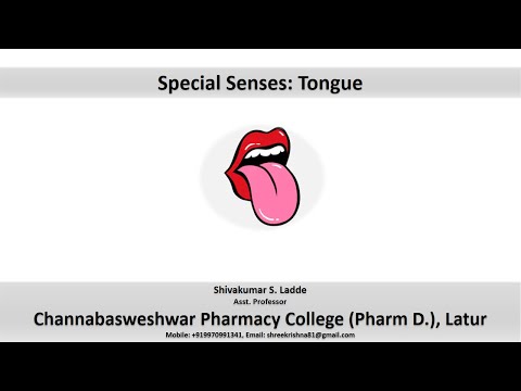 63_Anatomy and Physiology of Tongue and Nose
