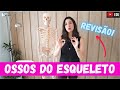 OSSOS do ESQUELETO | Anatomia etc Mp3 Song