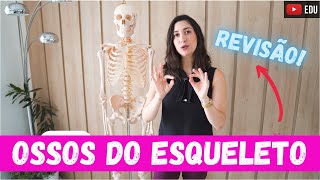 OSSOS do ESQUELETO | Anatomia etc