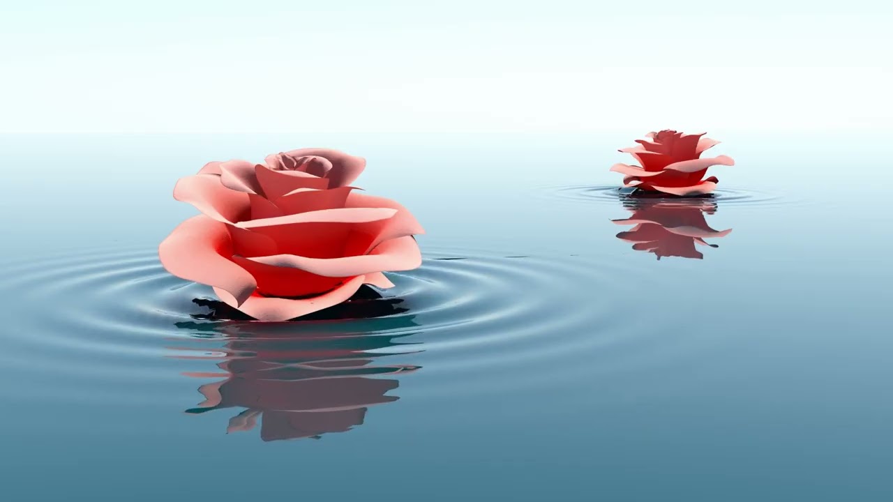 Floating Roses & Gentle Ripples | 4K Zen Water Screensaver
