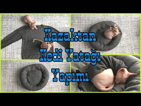 Video: Kedi Yatağı