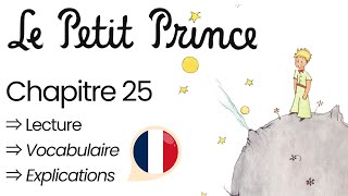 Lecture Français Niveau B1 : LE PETIT PRINCE (Chapitre 25)