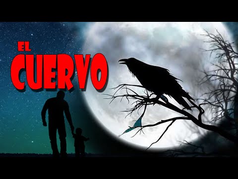 Video: El cuervo negro es un pájaro sabio y aterrador