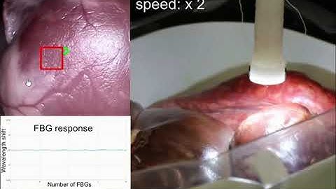 Eye-in-hand Visual Servoing Enhanced with Sparse Strain Measurement for Soft Continuum Robots