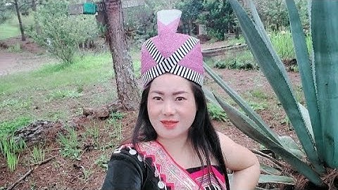 Aim pog rog paum tsw tsog mas thiaj txawj dhuav neeg tiag2 11/03/2022