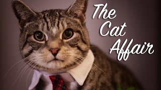 The Cat Affair
