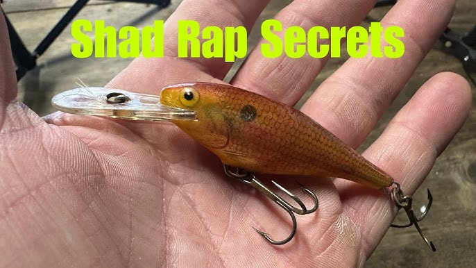 When A Wobblehead Jig Outfishes ALL Other Lures… 