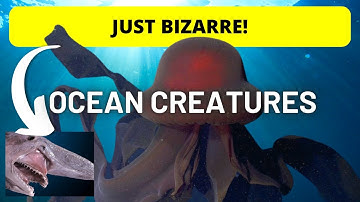 Top 10 Most BIZARRE Deep Sea Creatures EVER Discovered!