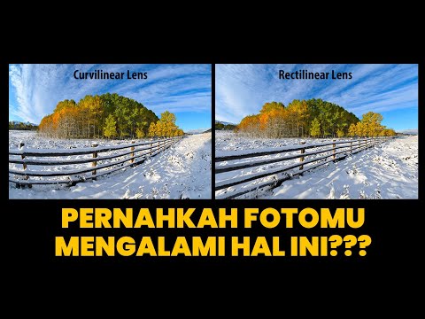 Video: Apa itu garis tanpa distorsi?