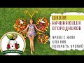 ШКОЛА НАЧИНАЮЩИХ ОГОРОДНИКОВ. УРОКИ С НУЛЯ ИЛИ КАК ПОЛУЧИТЬ УРОЖАЙ