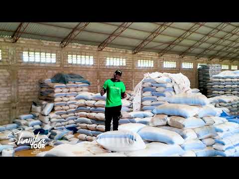 MASANJA KILIMO HII NDIO STOO YANGU YA MPUNGA