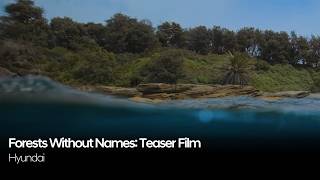 Forests Without Names: Teaser Film | Hyundai