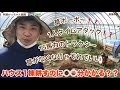 ハウス1棟たがやすのに○○分？？【農業体験学校】【トマト栽培】8-2 【阿蘇がっちゃん農園】