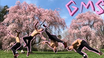 grand master swipe (GMS) progression! aerial gms+ cart gms