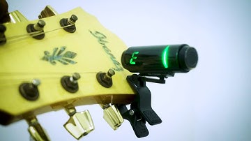 KORG Sledgehammer Custom 100