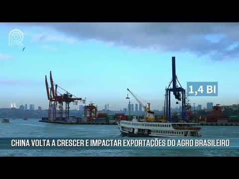 China volta a crescer e impactar exportações do agro brasileiro | Canal Rural