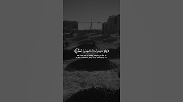 القارئ سلمان العتيبي
