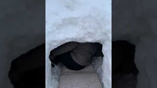 Couple Builds Igloo Outside Home Viralhog